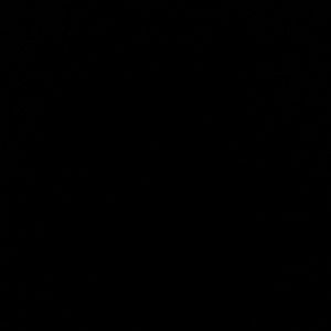 Meet your Posher, Sierra